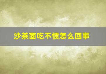 沙茶面吃不惯怎么回事