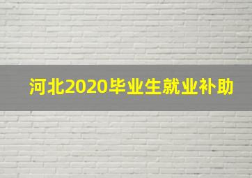 河北2020毕业生就业补助