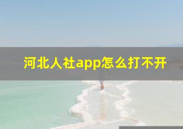 河北人社app怎么打不开