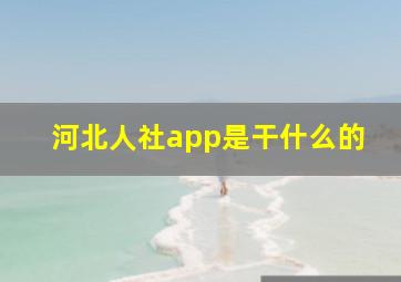 河北人社app是干什么的