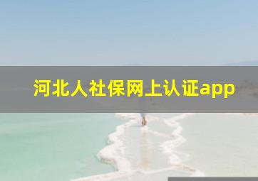 河北人社保网上认证app