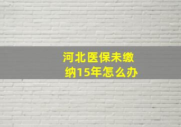 河北医保未缴纳15年怎么办