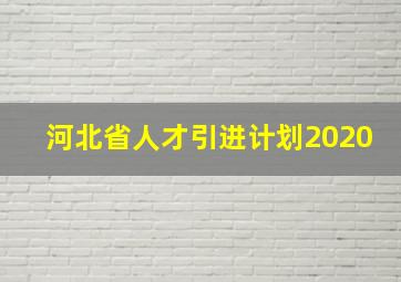 河北省人才引进计划2020