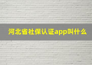 河北省社保认证app叫什么