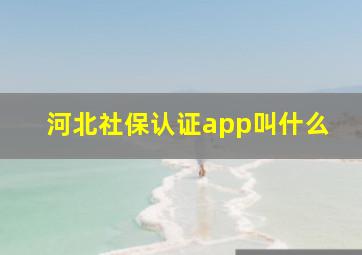 河北社保认证app叫什么