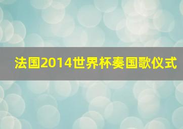 法国2014世界杯奏国歌仪式