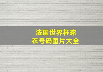 法国世界杯球衣号码图片大全