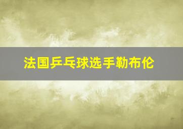 法国乒乓球选手勒布伦