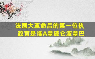 法国大革命后的第一位执政官是谁A拿破仑波拿巴