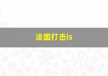 法国打击is