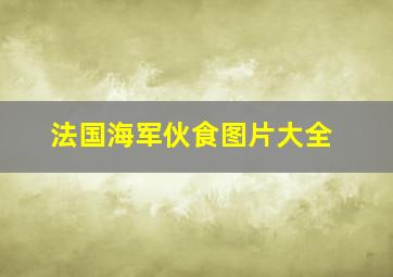 法国海军伙食图片大全