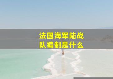 法国海军陆战队编制是什么