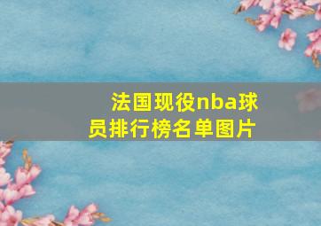 法国现役nba球员排行榜名单图片