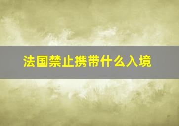 法国禁止携带什么入境