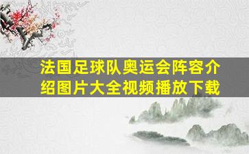 法国足球队奥运会阵容介绍图片大全视频播放下载