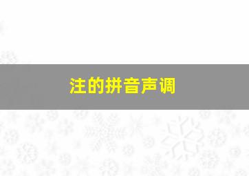 注的拼音声调