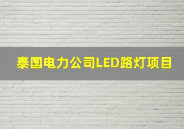 泰国电力公司LED路灯项目