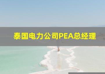 泰国电力公司PEA总经理