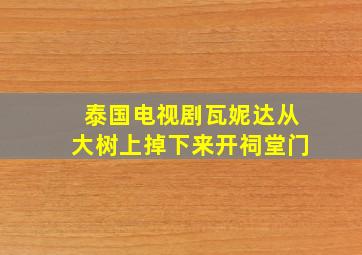 泰国电视剧瓦妮达从大树上掉下来开祠堂门