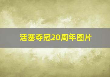 活塞夺冠20周年图片