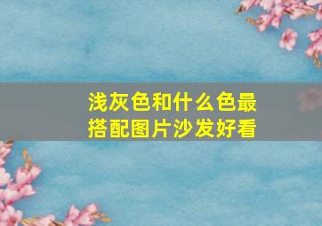 浅灰色和什么色最搭配图片沙发好看