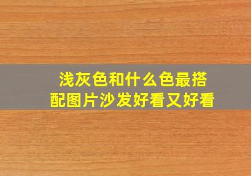 浅灰色和什么色最搭配图片沙发好看又好看