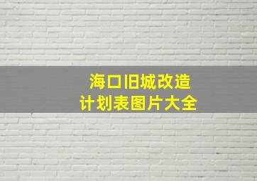 海口旧城改造计划表图片大全