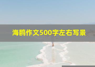 海鸥作文500字左右写景