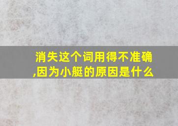 消失这个词用得不准确,因为小艇的原因是什么