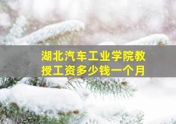 湖北汽车工业学院教授工资多少钱一个月