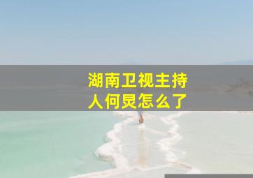 湖南卫视主持人何炅怎么了