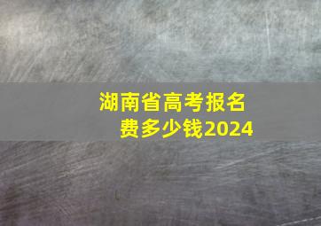 湖南省高考报名费多少钱2024