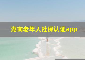 湖南老年人社保认证app