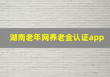 湖南老年网养老金认证app