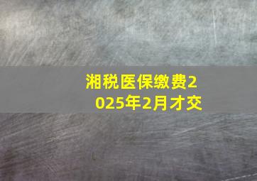 湘税医保缴费2025年2月才交