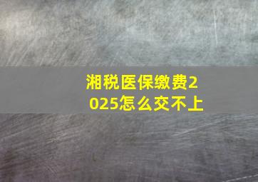 湘税医保缴费2025怎么交不上