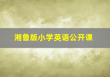 湘鲁版小学英语公开课