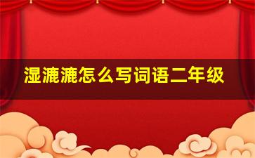 湿漉漉怎么写词语二年级