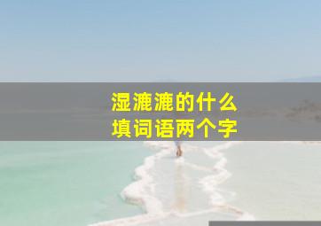 湿漉漉的什么填词语两个字