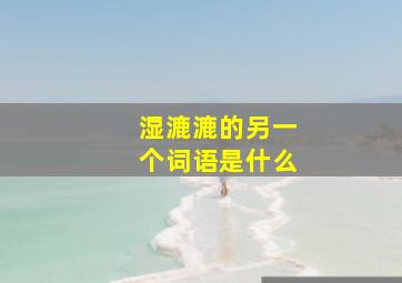 湿漉漉的另一个词语是什么