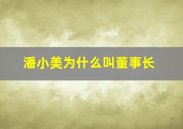 潘小美为什么叫董事长