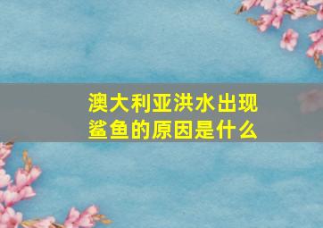 澳大利亚洪水出现鲨鱼的原因是什么