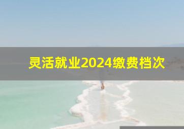 灵活就业2024缴费档次