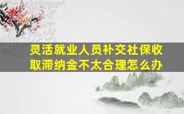 灵活就业人员补交社保收取滞纳金不太合理怎么办