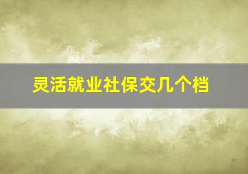 灵活就业社保交几个档