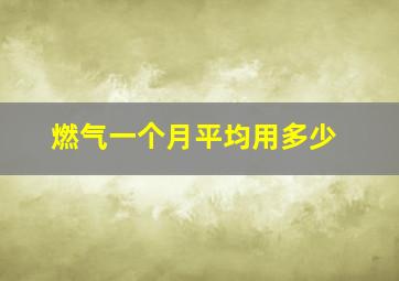 燃气一个月平均用多少