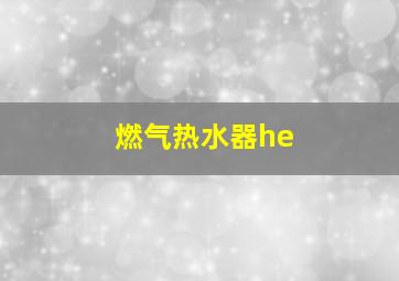 燃气热水器he