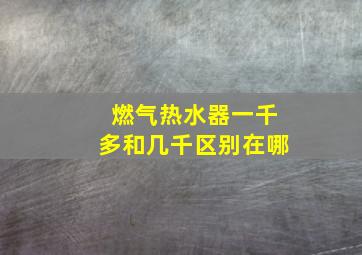 燃气热水器一千多和几千区别在哪