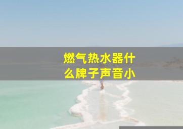 燃气热水器什么牌子声音小