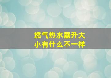 燃气热水器升大小有什么不一样